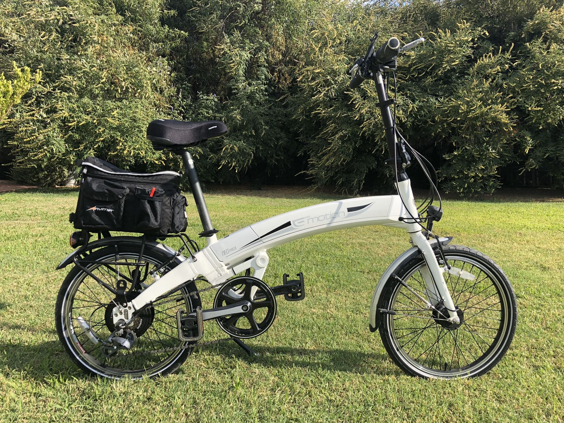 Folding Electric Bike