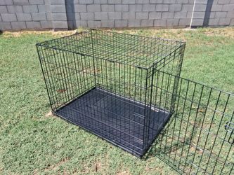 Big kennel