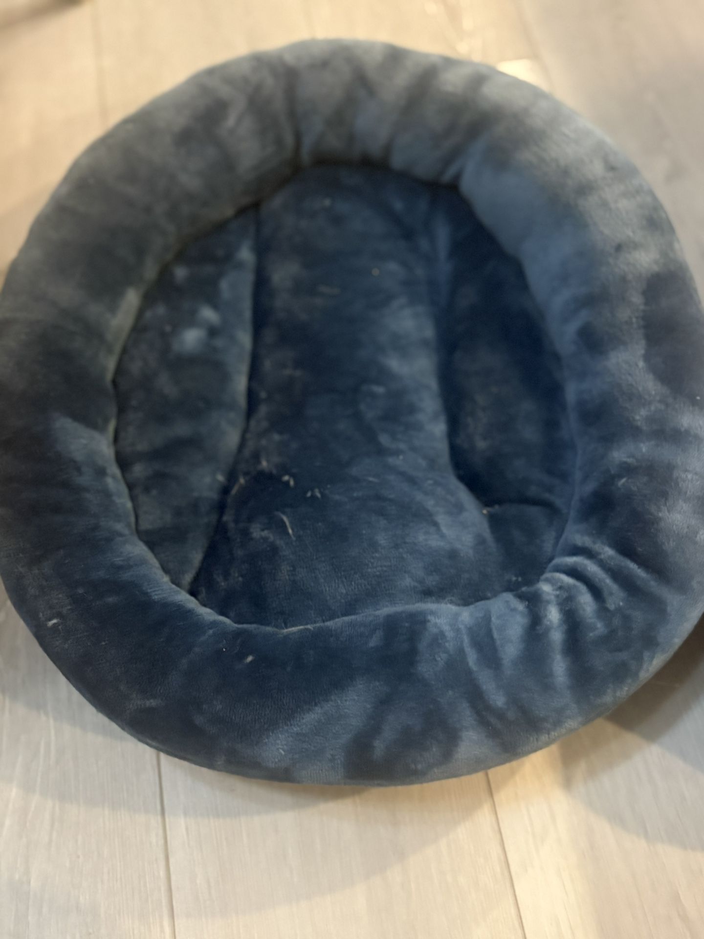 Cat Beds