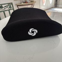 Samsonite Lumber Pillow
