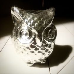 New Owl Decor