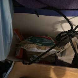 Pee pads, Guinea pig food, & Vitamin C
