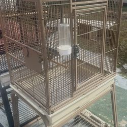 Bird Cage 