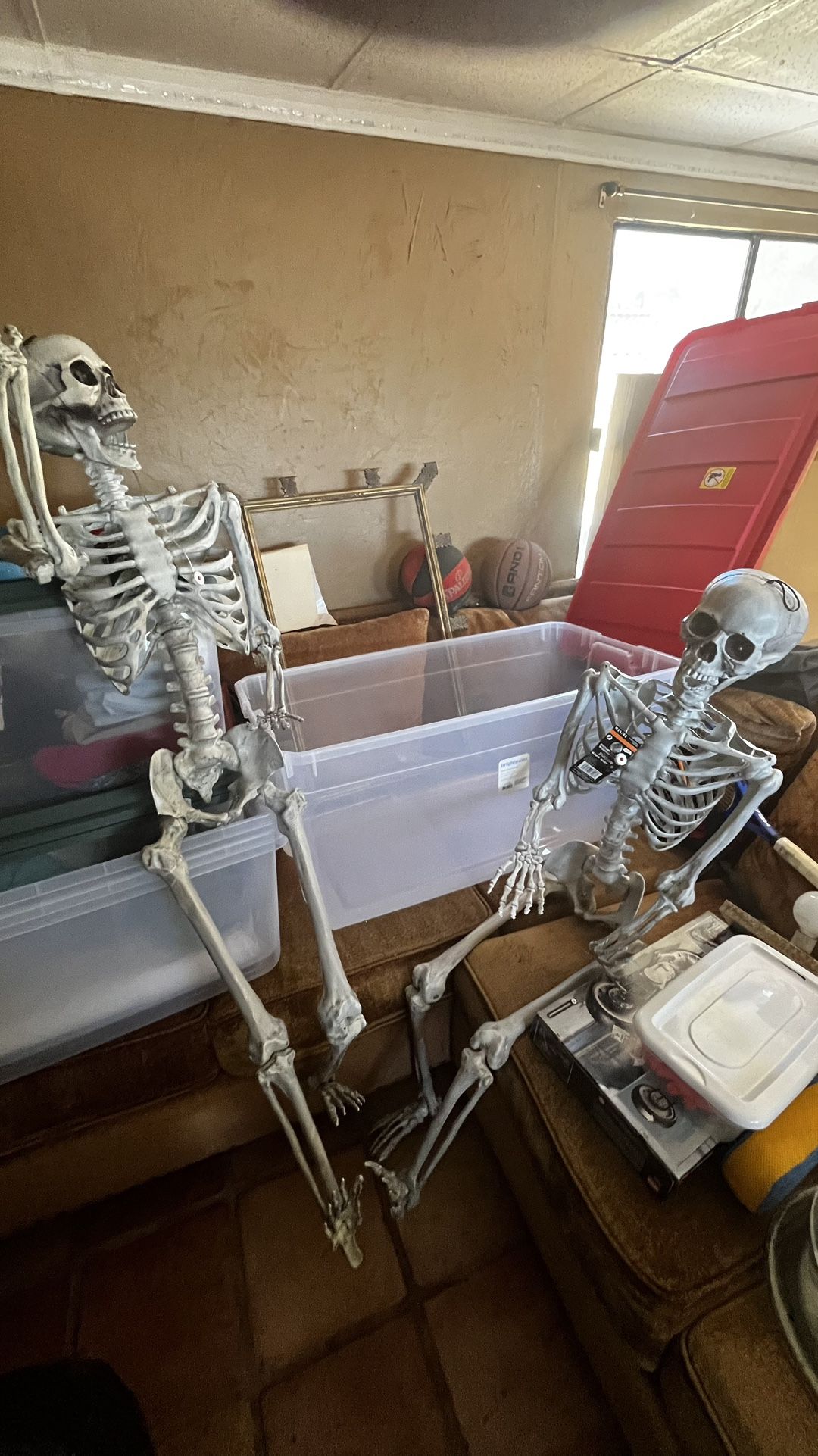 Life-Size posable Skeletons With Storage Case Included