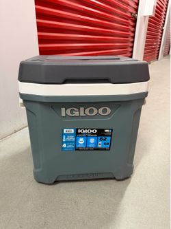 Ice chest/cooler