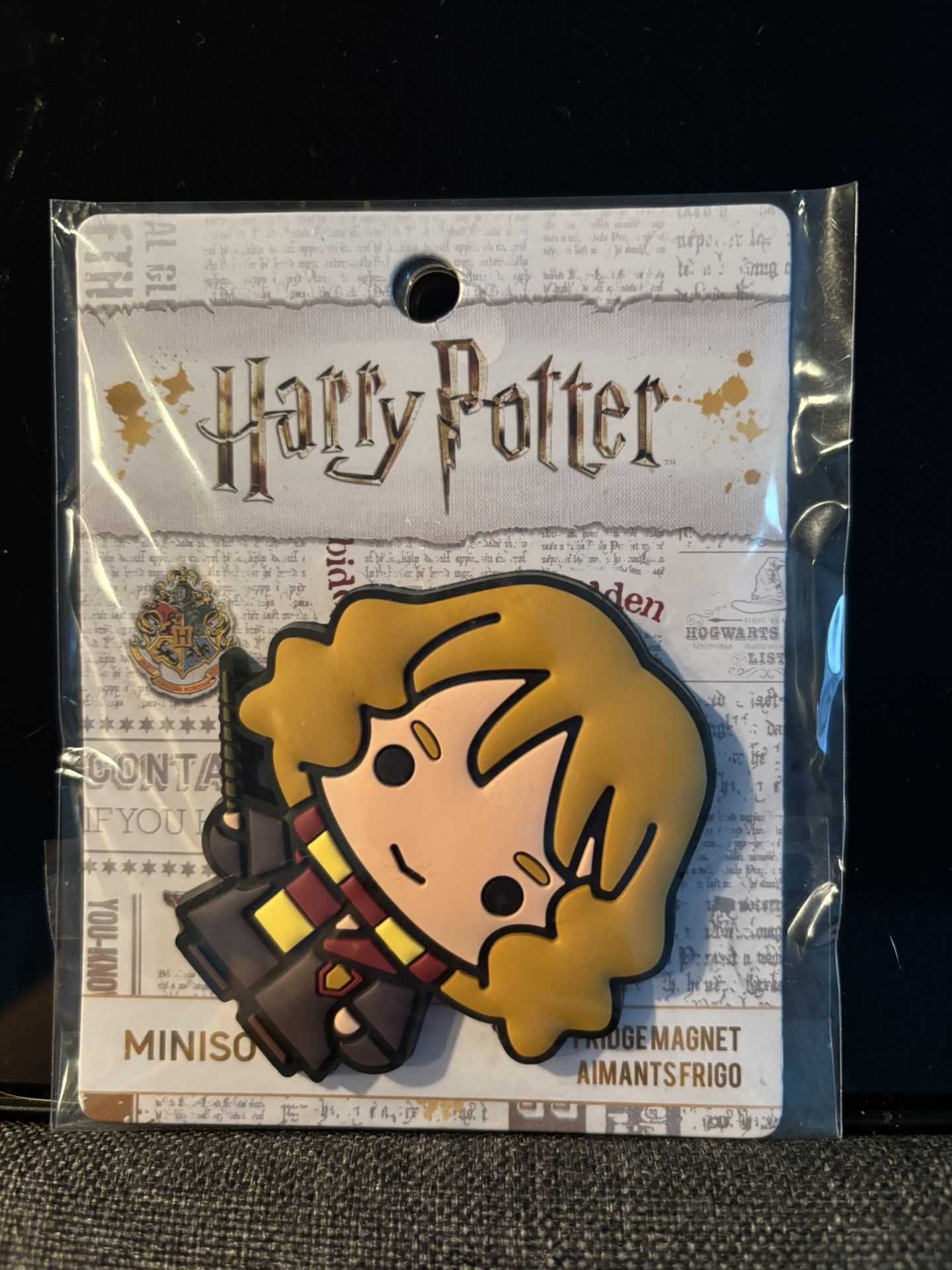 Harry Potter Fridge Magnet