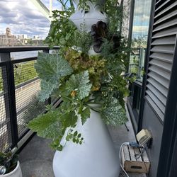Outdoor Hydroponic Garden 
