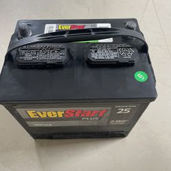 Everstart Car Suv Battery 