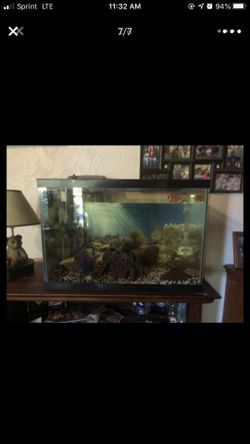 25 gallon fish tank with everything