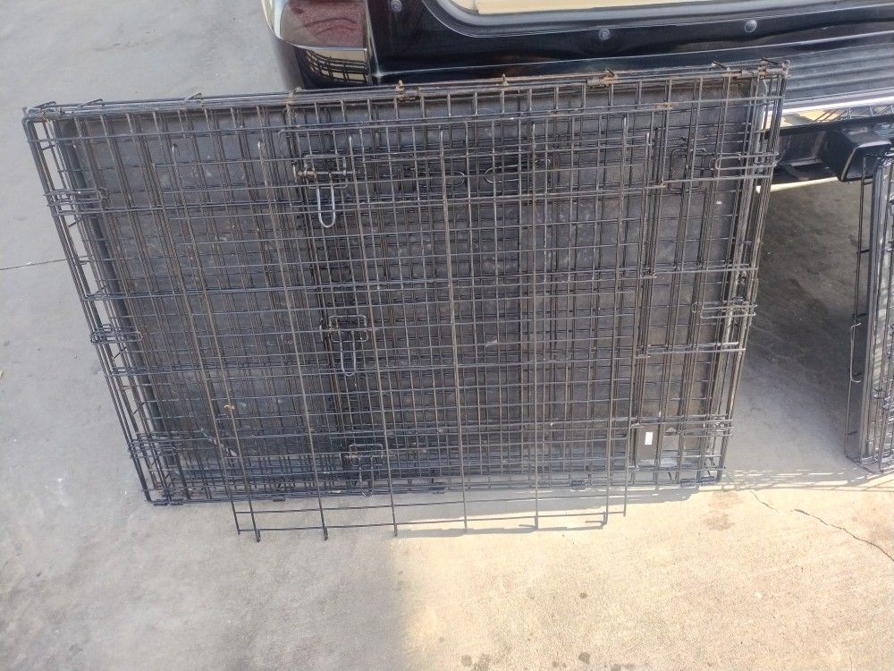 Large Dog Kennel