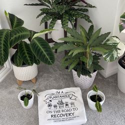 Women Sweatshirt And T-shirts 