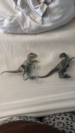 Raptor