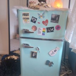 Retro Style Mini Fridge 