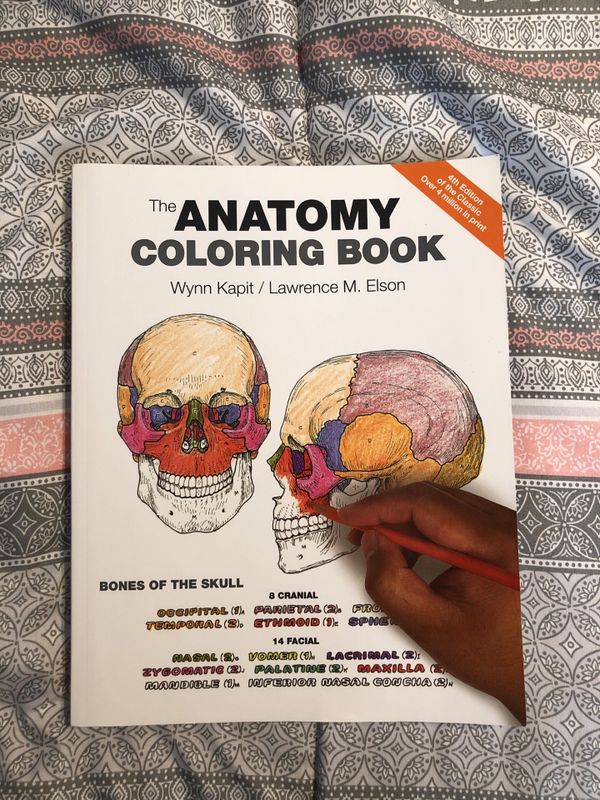 31 The Anatomy Coloring Book 4th Edition - Free Printable Coloring Pages