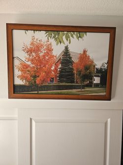 Wall Art 23"×32"