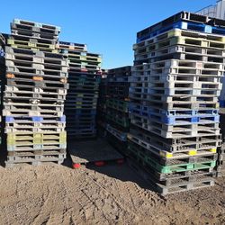 Polly Pallets 