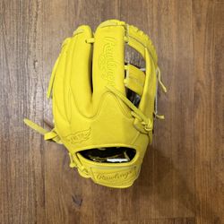 NEW -2025 Rawlings Heart of the Hide -R2G Series Glove 