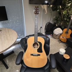 Washburn Dreadnought 