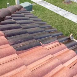 Pressure Washer