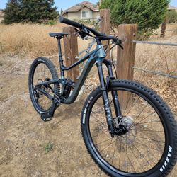 Giant trance 2024 x 2 2021