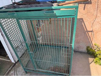 Bird cage
