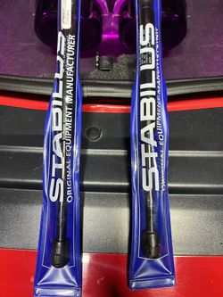 Shocks Trunk Dodge