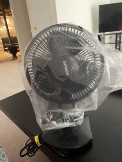 Fan