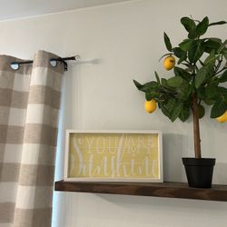 Yellow Decor 🍋 Sign & Plant $15
