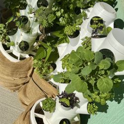 Hydro Grower Planter