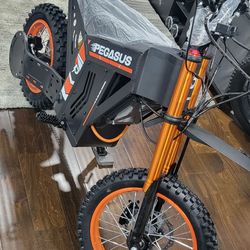 Electric dirt bike 