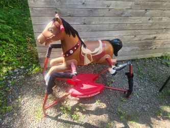 Red rider Blaze