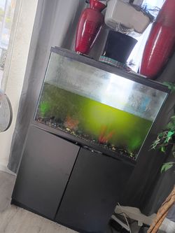 Fish tank plus stand!!