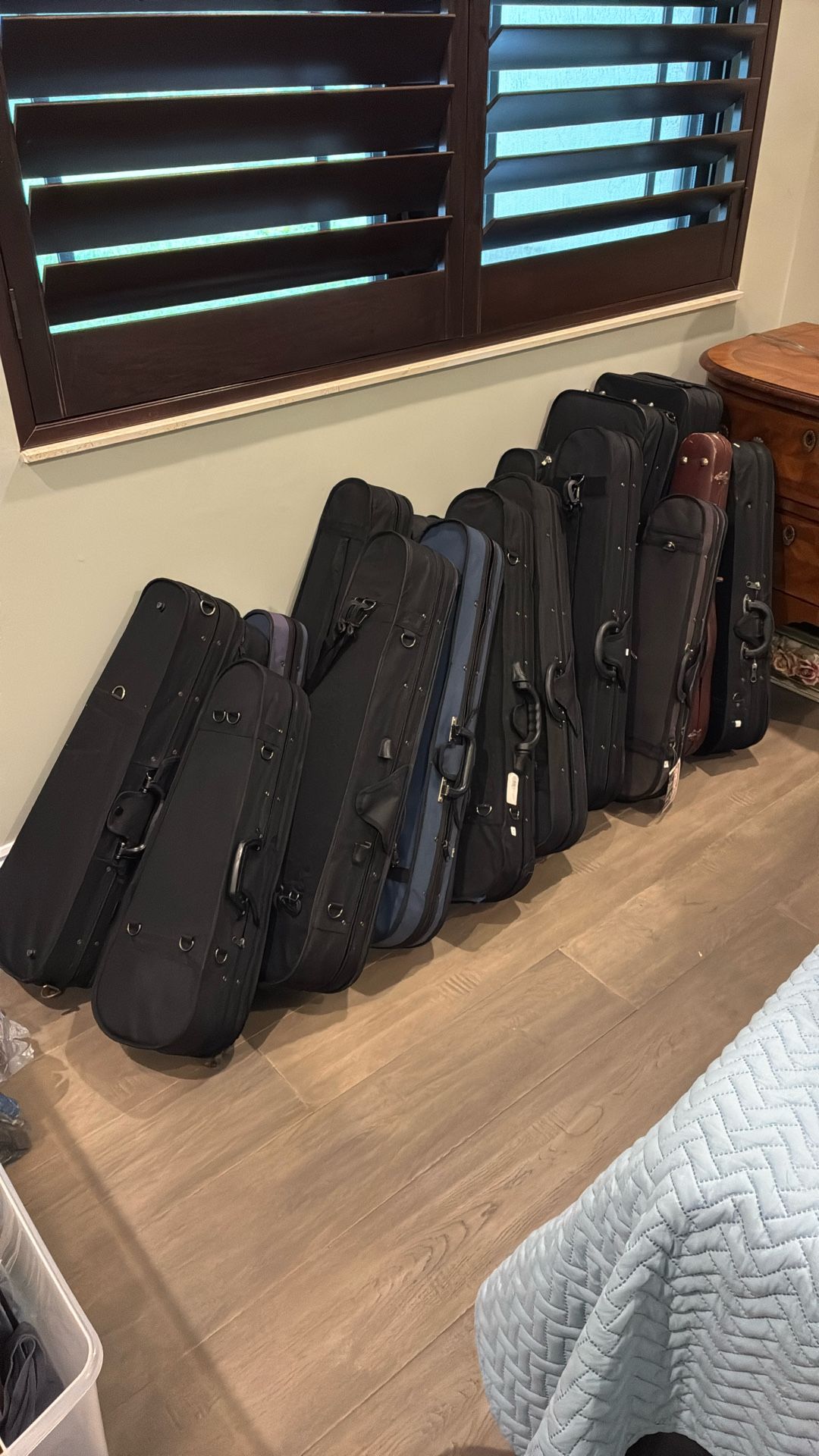 Violin Cases