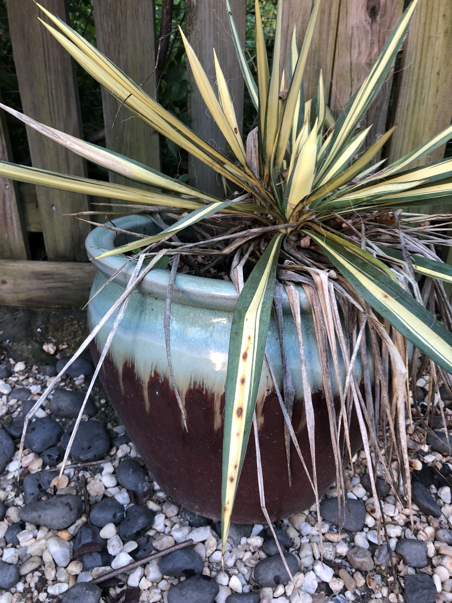 Ceramic planter