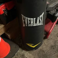 Everlast Punching Bag 