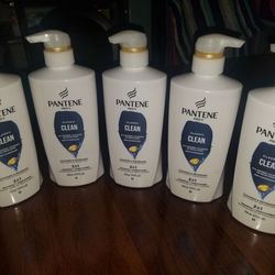 Shampoo and Conditioner $20.00 For all 