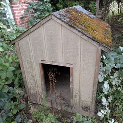 Doghouse, Open Door
