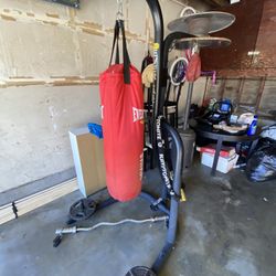 Punching Bag