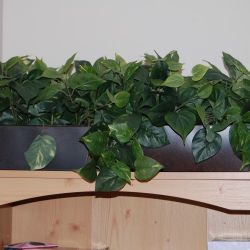 2×Artificial Greenry Leaf Money Plant Home Decor Tree 