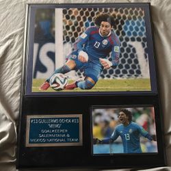 Memo Ochoa Plate 