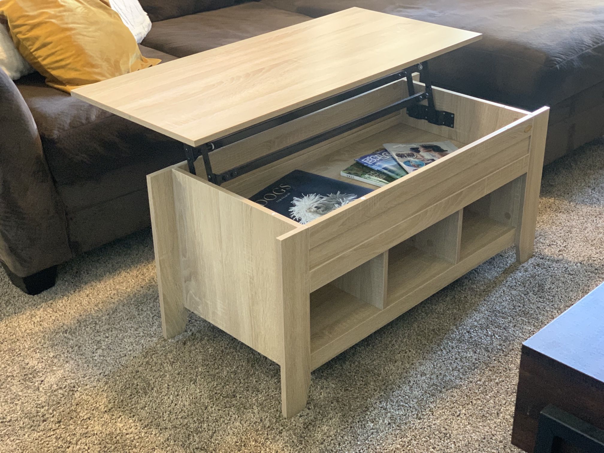Coffee Table (top lifts up)