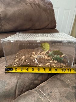 Reptile Insect Spider Tank Enclosure