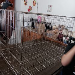 Dog Crate