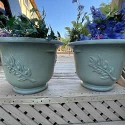 Nice 2 Plastic pot for both