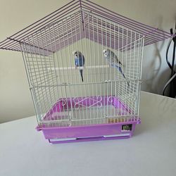 For  sale