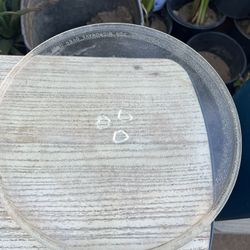 Microwave Plate 