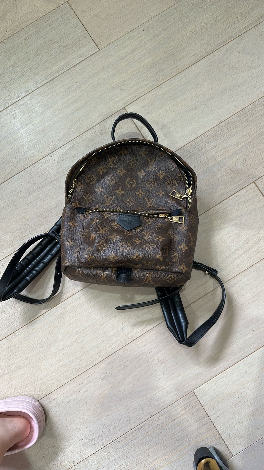 Louis Vuitton Palm Springs Mini Monogram