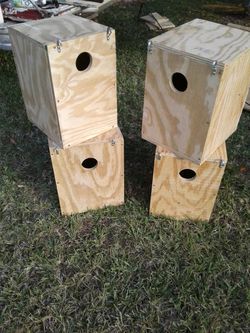 Bird Nest boxes