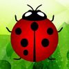 Marcela 🐞