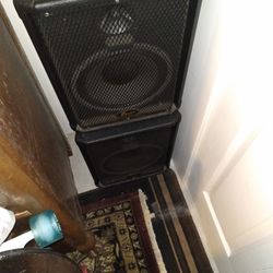 Squire Pa Speakers Set Of 2 